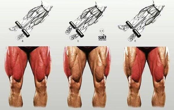 Тренировка внутренней части бедра в тренажерном зале