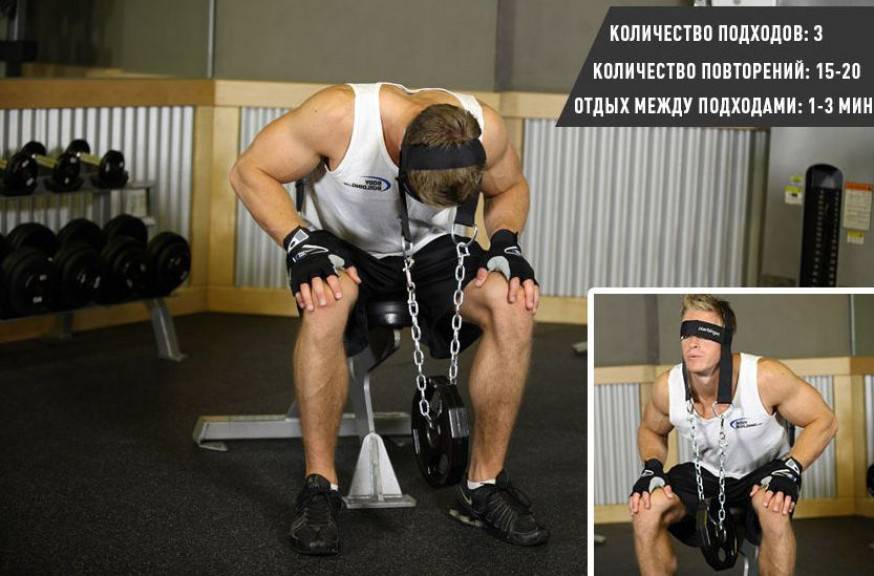 Тренировка мышц шеи с видео: упражнения, рекомендации как накачать и противопоказания | rulebody.ru — правила тела