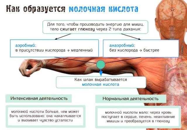 Мышечные боли в ногах (миалгия) - причины, симптомы, лечение