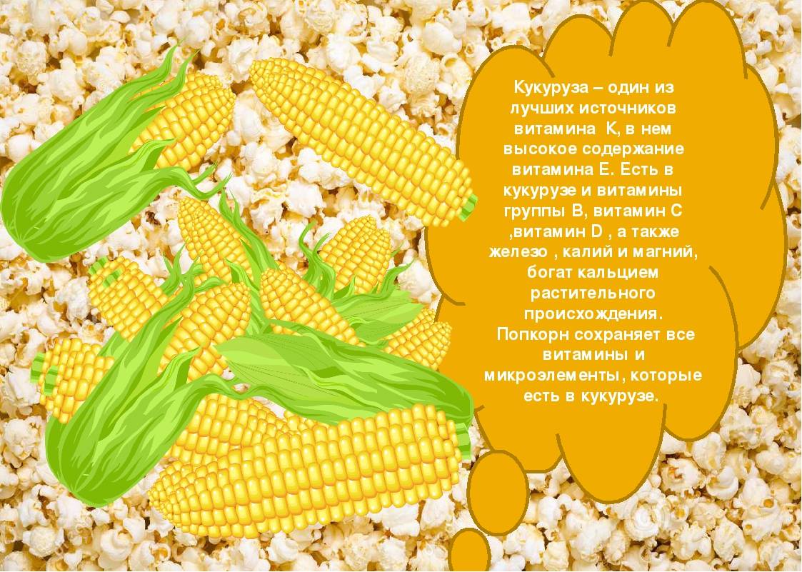 Консервированная кукуруза — польза и вред для здоровья человека, и свойства ????