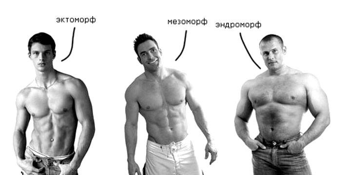 План питания для мужчины-эндоморфа на набор мышечной массы