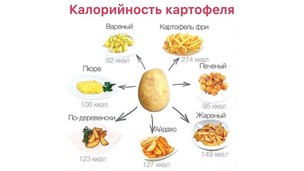 Сколько калорий в картошке: варенной, жареной, фри и картофеле в мундире?