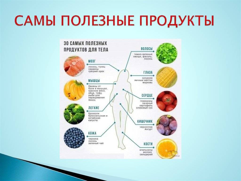 Полезные продукты для организма: мясо, фрукты, овощи и злаки