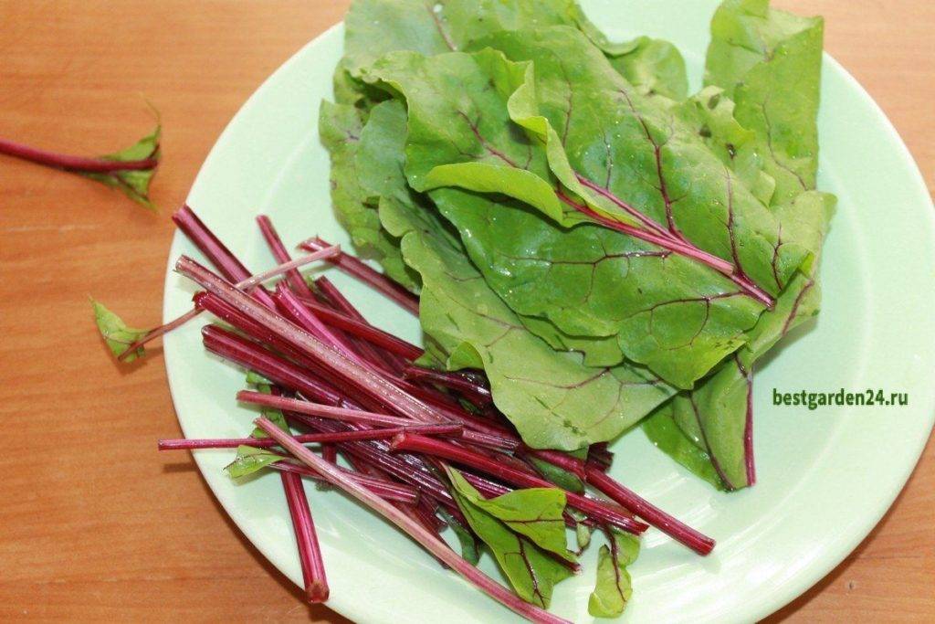 Салат со свекольными листьями рецепт