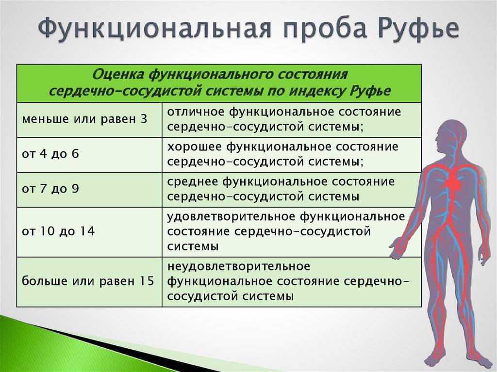 Сопоставьте типы реакции сердечно сосудистой системы на физическую нагрузку c рисунком