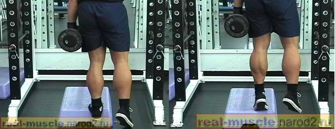 Тренировка ног: как накачать икроножные мышцы (икры ног) девушке и мужчине | rulebody.ru — правила тела