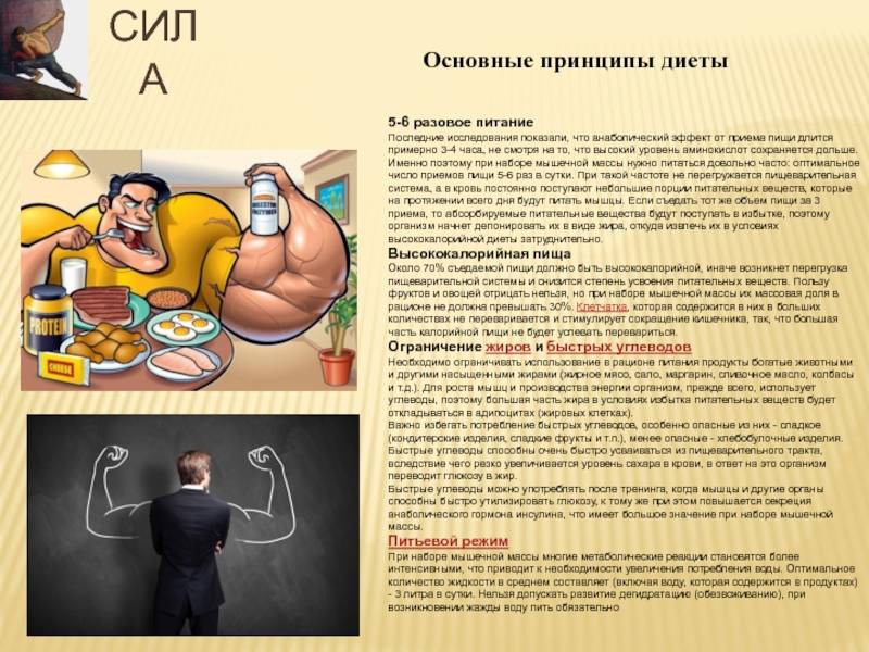 Питание для роста мышц: рекомендации по рациону - жизнь в москве - молнет.ru