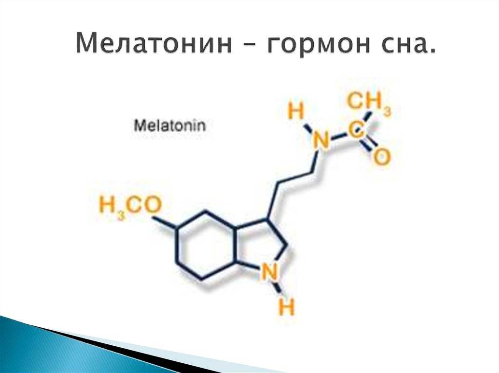 Бум на мелатонин – стоит ли принимать волшебные таблетки?