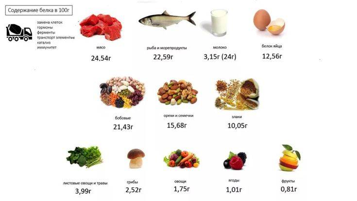 О белковых продуктах: сколько белка содержится в пище, в каких блюдах есть белок