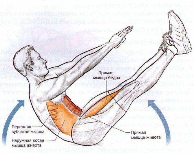 Упражнение книжка – эффективное движение для прокачки пресса и укрепления мышц кора