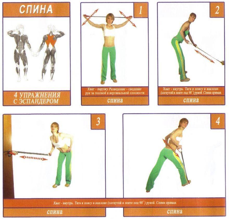 Упражнения с эспандером в домашних условиях, для мужчин и женщин