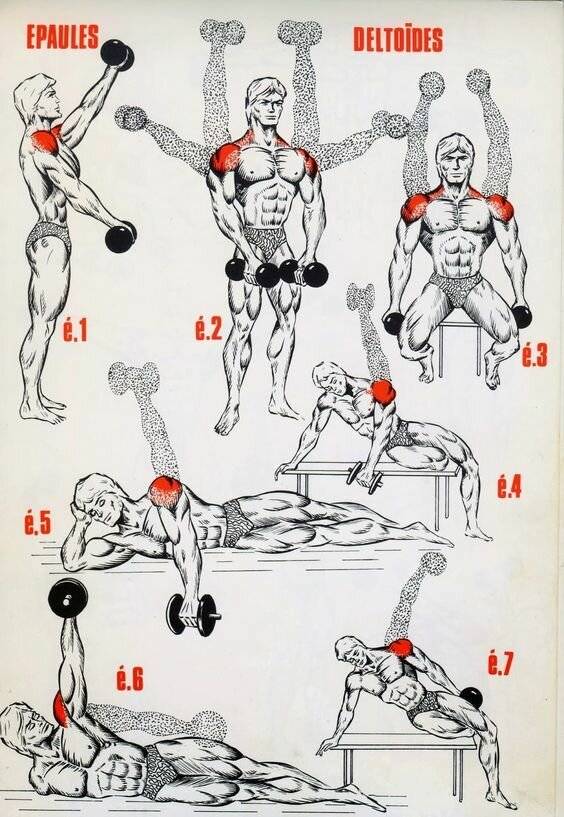Качаем плечи: топ упражнения, советы тренеров. | бомба тело