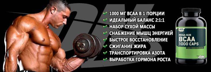 Периодизация. • bodybuilding & fitness