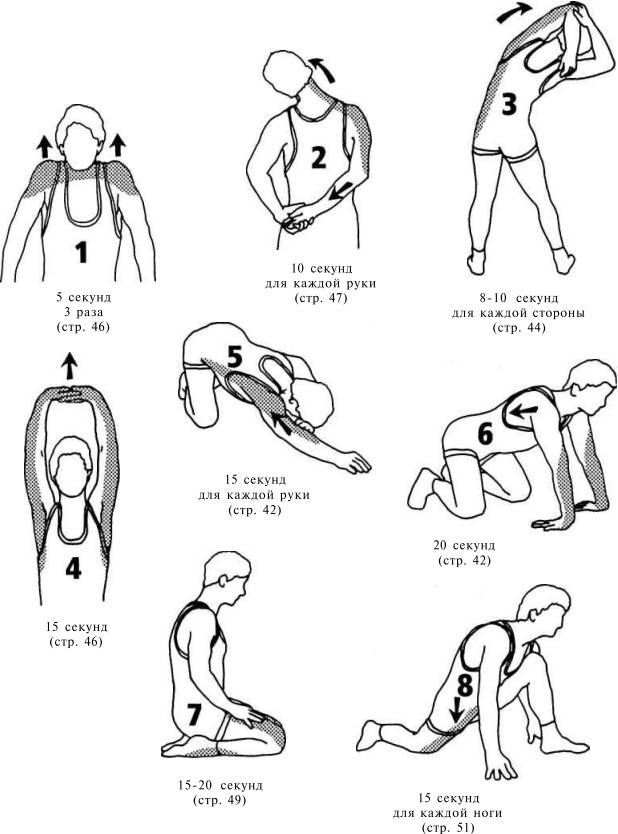 Стретчинг упражнения: ознакомиться с комплексом стретчинг тренировок на растяжку
