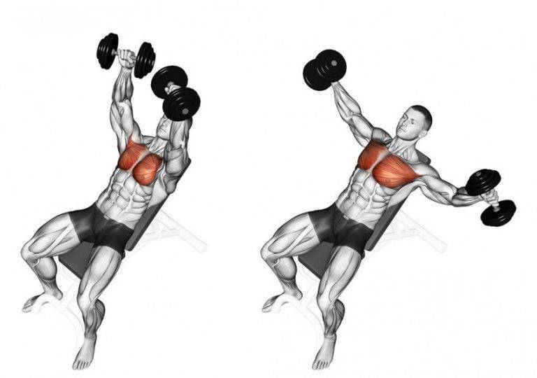 Упражнения на грудные мышцы с гантелями для мужчин и женщин, видео комплекса упражнений для дома, как прокачать верх и низ грудных мышц