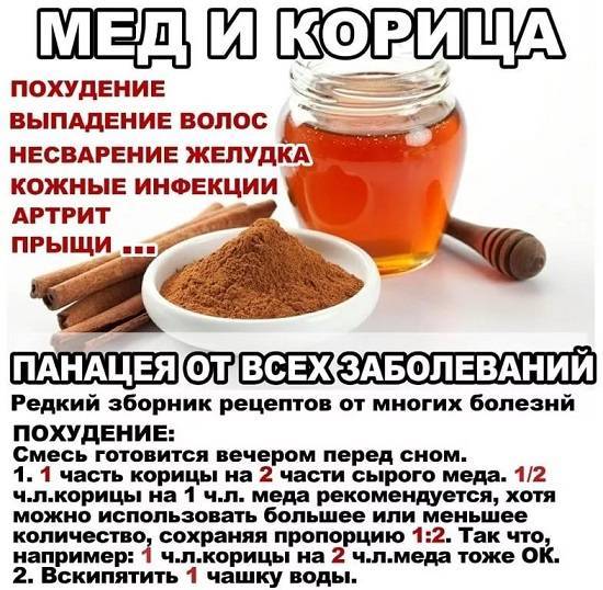 Корица с медом для похудения: рецепт приготовления напитка