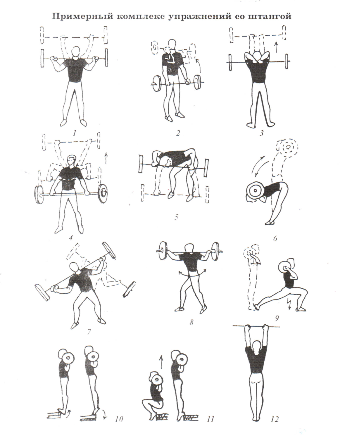 Упражнения со штангой для мужчин и женщин. программы тренировок