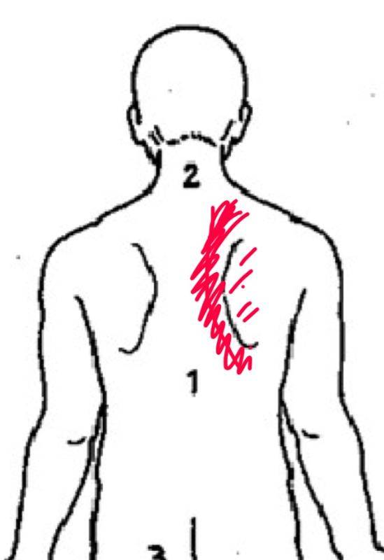 Жжение в грудной клетке — что может вызвать данный симптом