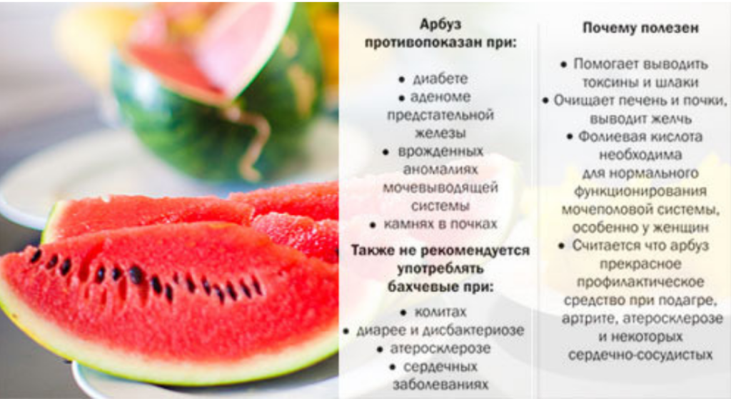 Арбуз бжу: состав плода, калорийность и пищевая ценность, полезные свойства и вред, области применения
