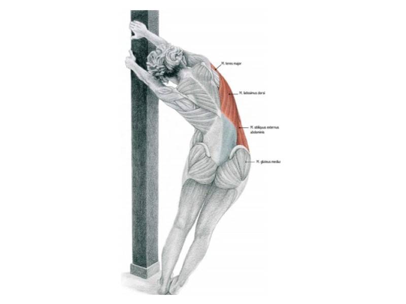 Растяжка спины: как растянуть широчайшие, трапециевидную и ромбовидные мышцы