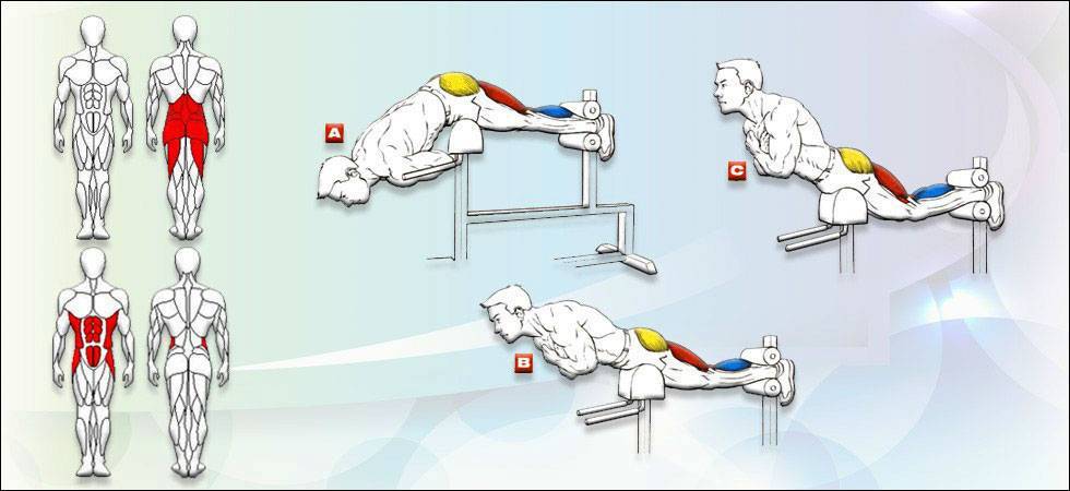Гиперэкстензия: техника выполнения упражнения на тренажере, какие мышцы работают