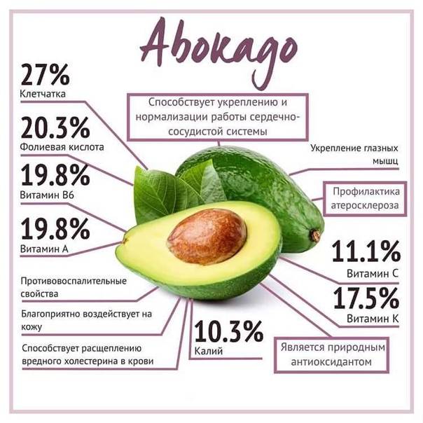 Авокадо: польза и вред для организма, применение в косметологии