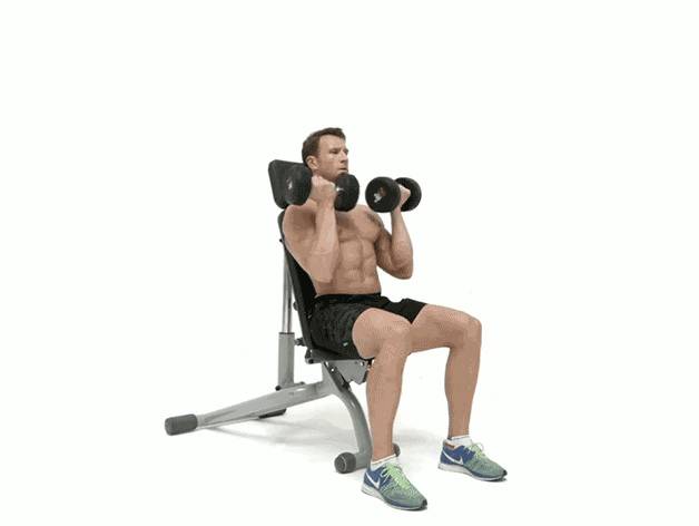 Жим арнольда: техника выполнения сидя с гантелями, какие мышцы работают