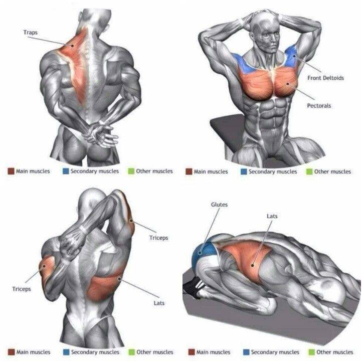 Как накачать внутреннюю часть грудных мышц