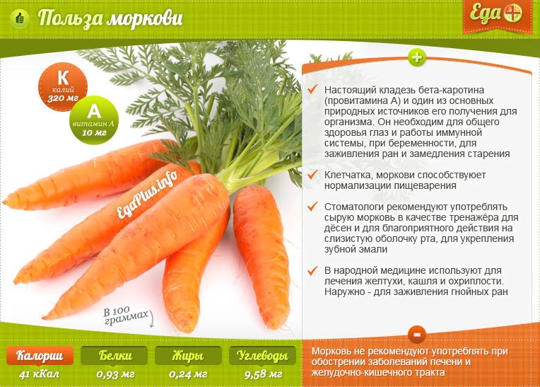 Чем полезна морковь:состав, свойства, организма, мужчин, женщин, вред, ценность, польза, витамины, морковный сок