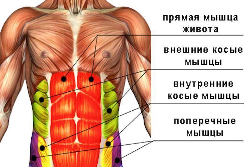 Как добиться плоского живота в домашних условиях