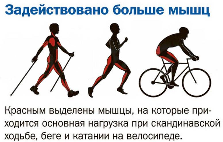 Можно ли похудеть, катаясь на велосипеде: польза и правила езды
