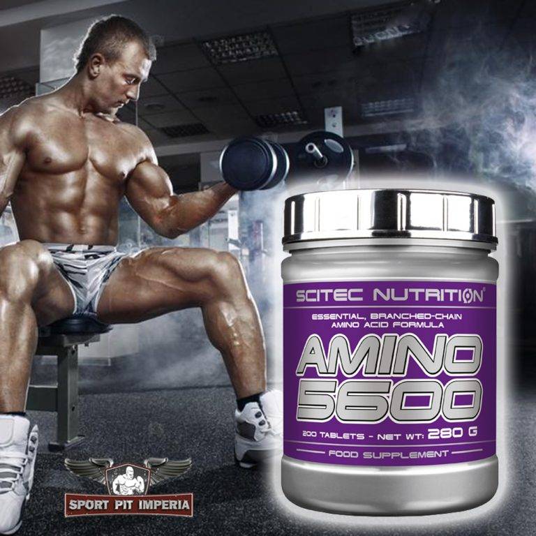 Amino 5600 500 табл (scitec nutrition) купить в москве по низкой цене – магазин спортивного питания pitprofi