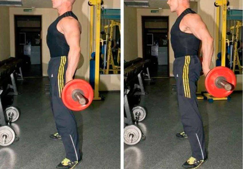 Базовые упражнения на плечи: тренировка плеч на массу