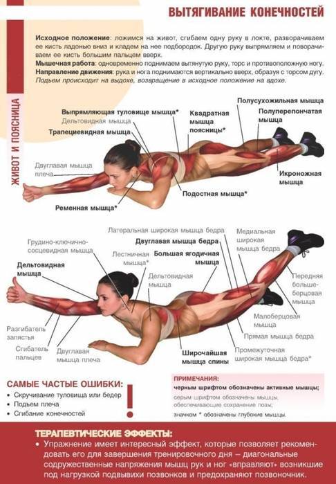 Мышцы стабилизаторы: комплекс упражнений, эффективность и отзывы