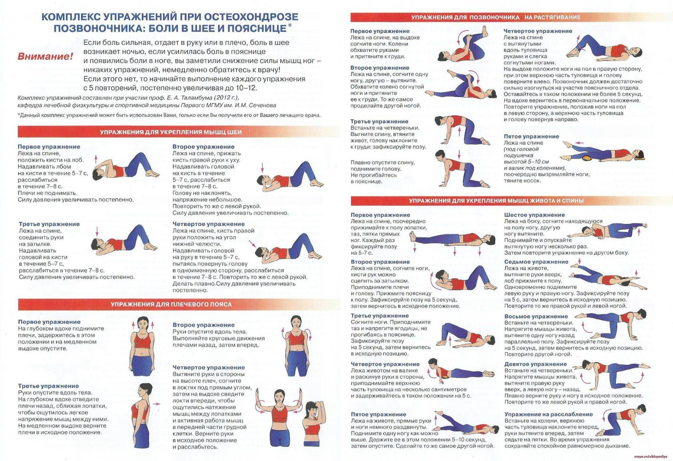 Упражнения для укрепления мышц шеи и подбородка: гимнастика в домашних условиях и зале