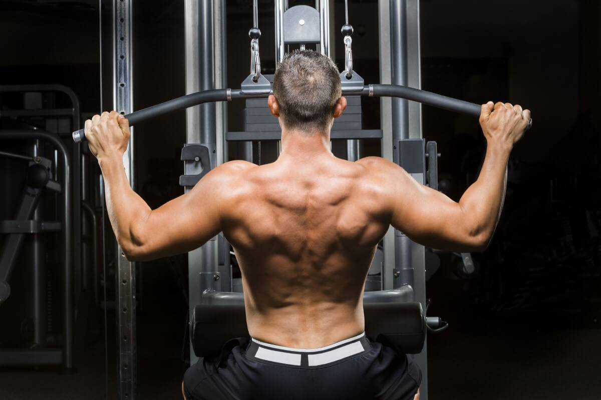 Тренировка мышц спины в тренажерном зале - лучшие упражнения