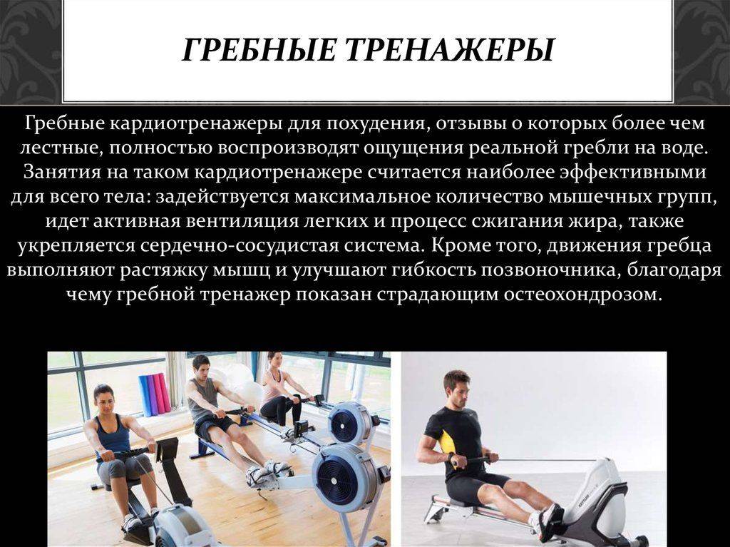 Кардиотренажеры: что выбрать для тренировок - elipsoid.ru