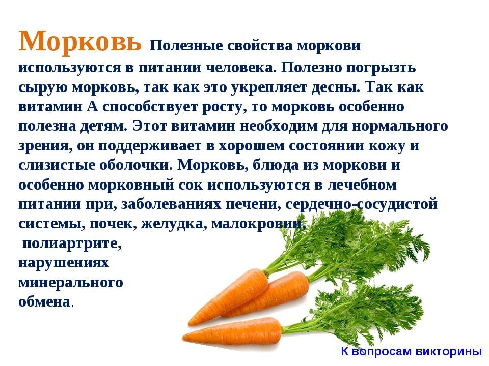 Сырая морковь для похудения – польза, способ употребления, блюда, противопоказания