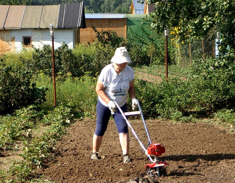Советы огородникам, садоводам, дачникам: для начинающих и опытных