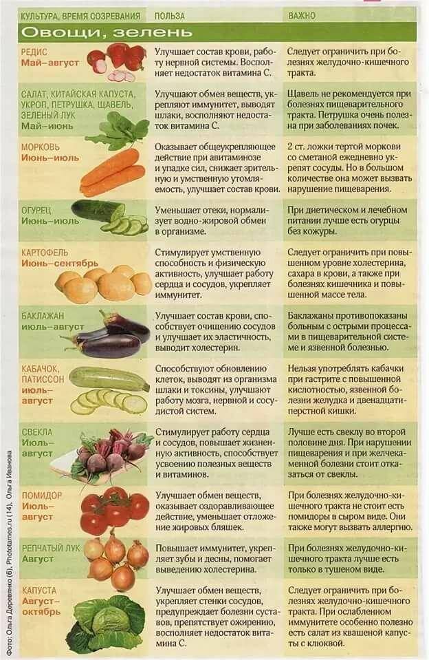 Какие витамины лучше усваиваются? - блог напоправку