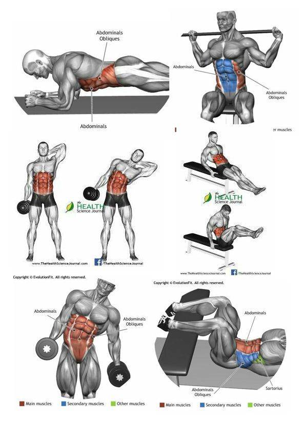 15 лучших упражнений для тренировки спины в тренажерном зале