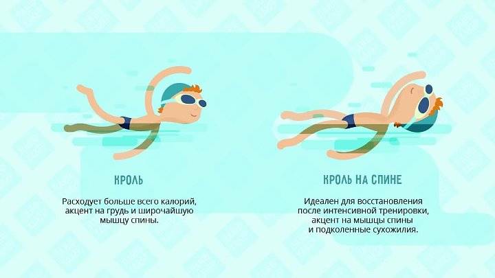 Чем полезно плавание в бассейне для здоровья человека