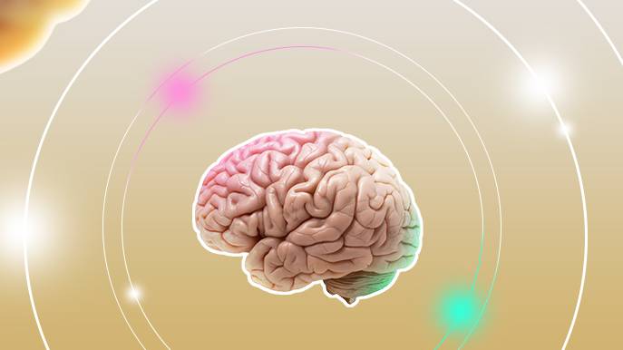 Как улучшить память и работу мозга препаратами в домашних условиях