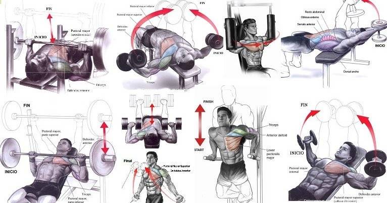 Как накачать грудные мышцы в домашних условиях мужчине: топ 8 упражнения на грудь