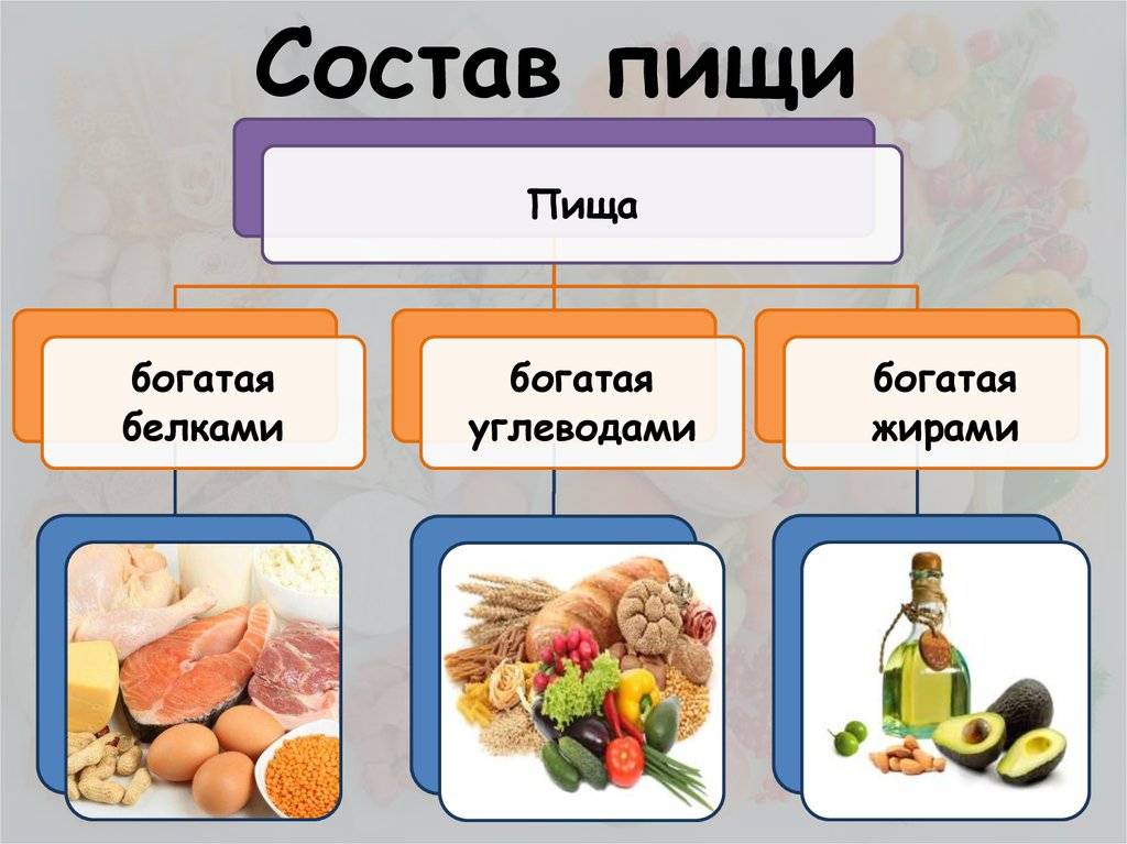 Основные виды питательных веществ и их значение в питании человека презентация