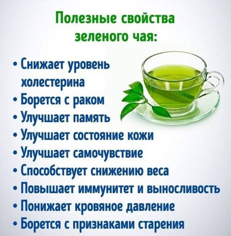 Зеленый чай для мужчины: огромная польза и непоправимый ущерб