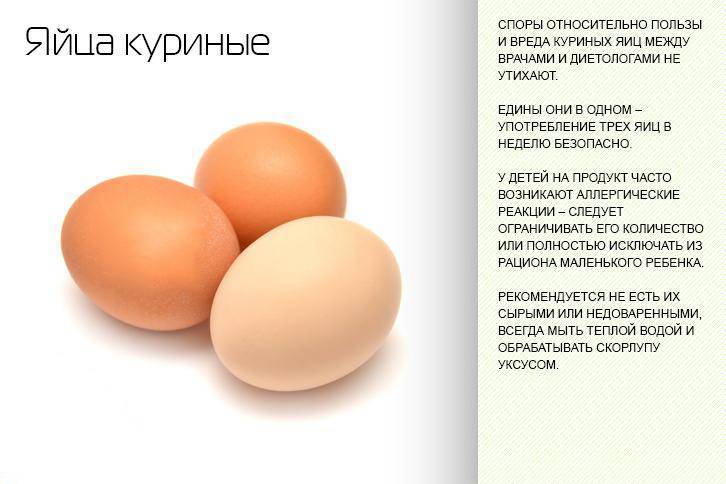 Вреден ли избыток белка? | fpa