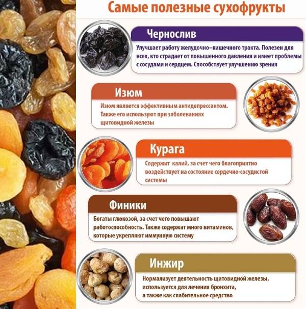 Финики - калорийность, полезные свойства, польза и вред, описание
