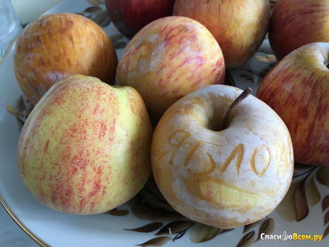 Воск на яблоках и других фруктах: зачем покрывают и не вреден ли