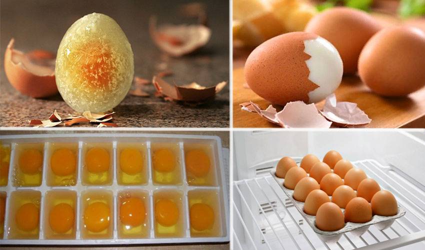Цвет имеет значение? 5 распространенных мифов о куриных яйцах